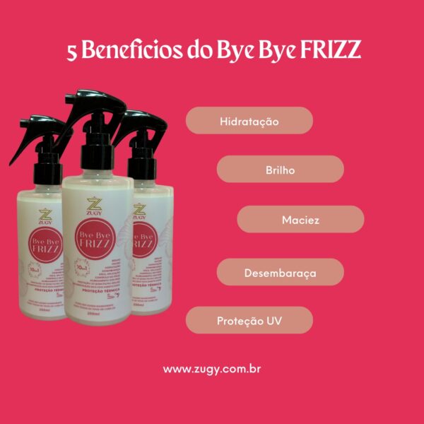 2 Bye Bye Frizz (R$59,90 cada) - Image 2